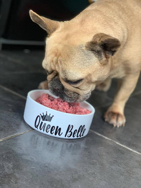 Ceramic Pet Bowl