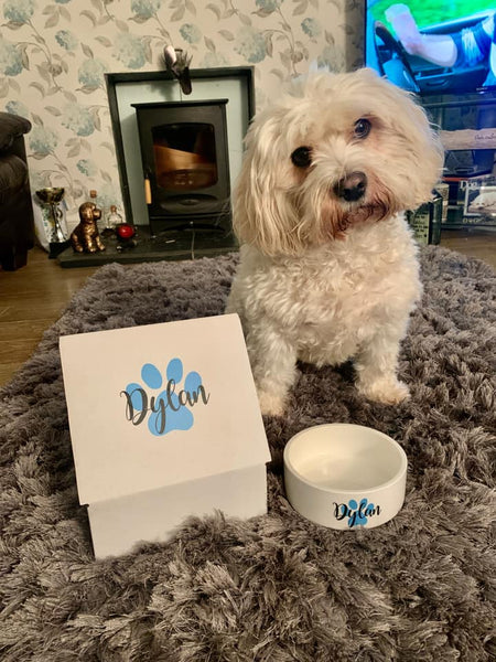 Ceramic Pet Bowl